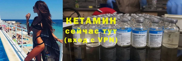 трава Абаза