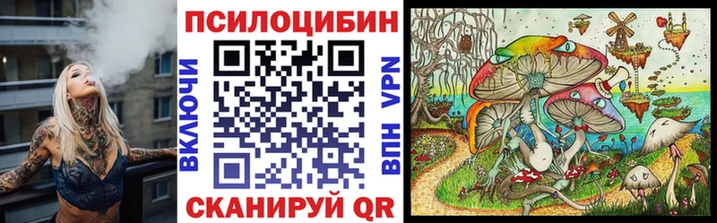 Псилоцибиновые грибы мицелий  Кисловодск 